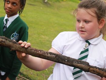 school image