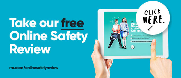 online safety survey