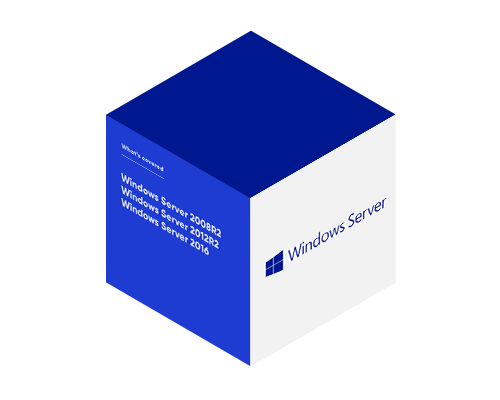 Microsoft Server OS
