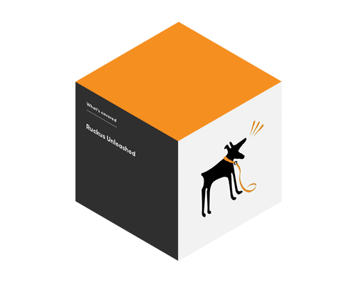 Ruckus Wireless
