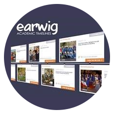 Earwig