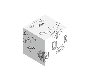 Strategy and vision