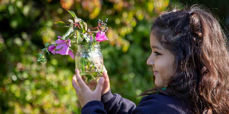 Hales-Valley-Trust-img3