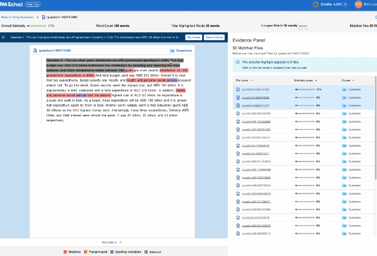 RM-Echo-Screenshot-2026-04-28-144905